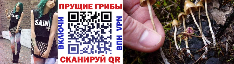 Псилоцибиновые грибы ЛСД  Новодвинск 